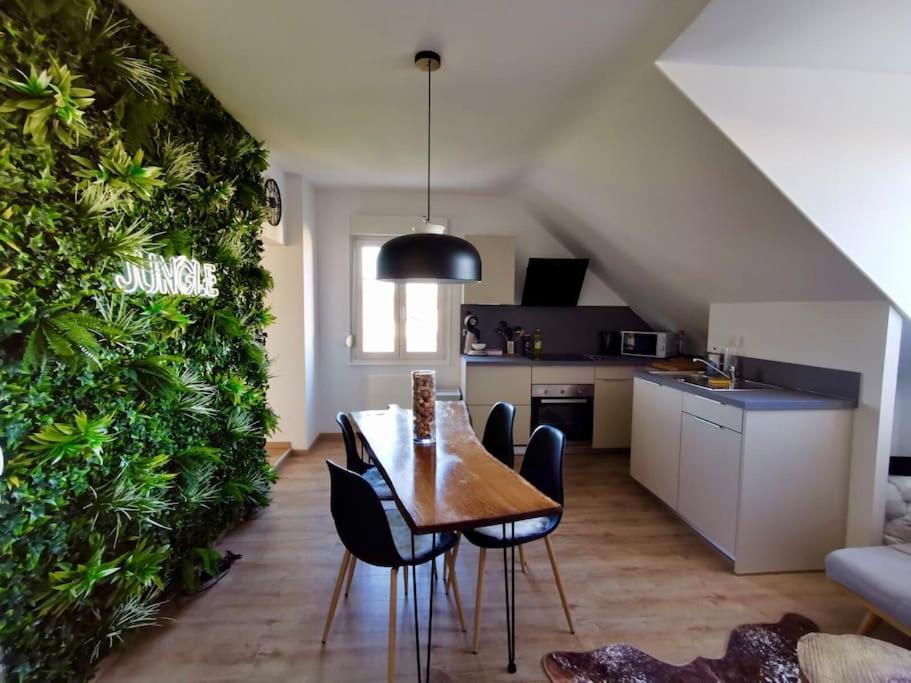 Apartamento Evasion Jungle - Wifi & Netflix ! Mulhouse Exterior foto
