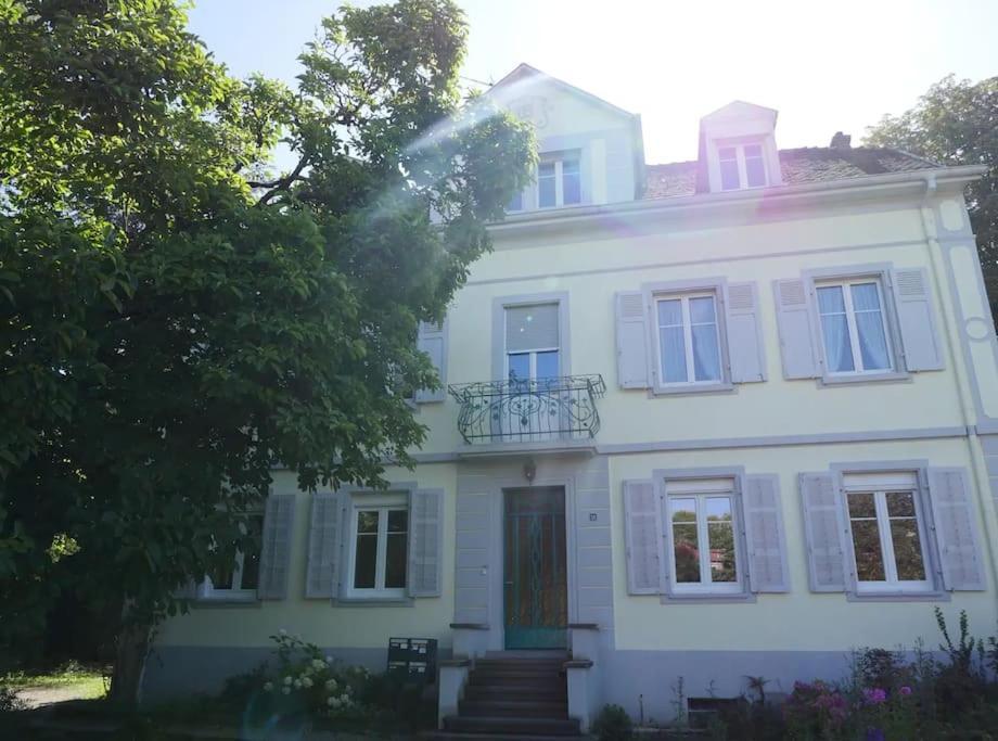 Apartamento Evasion Jungle - Wifi & Netflix ! Mulhouse Exterior foto